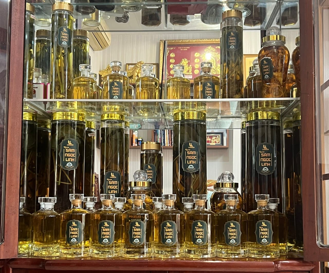 Ngọc Linh Mountain