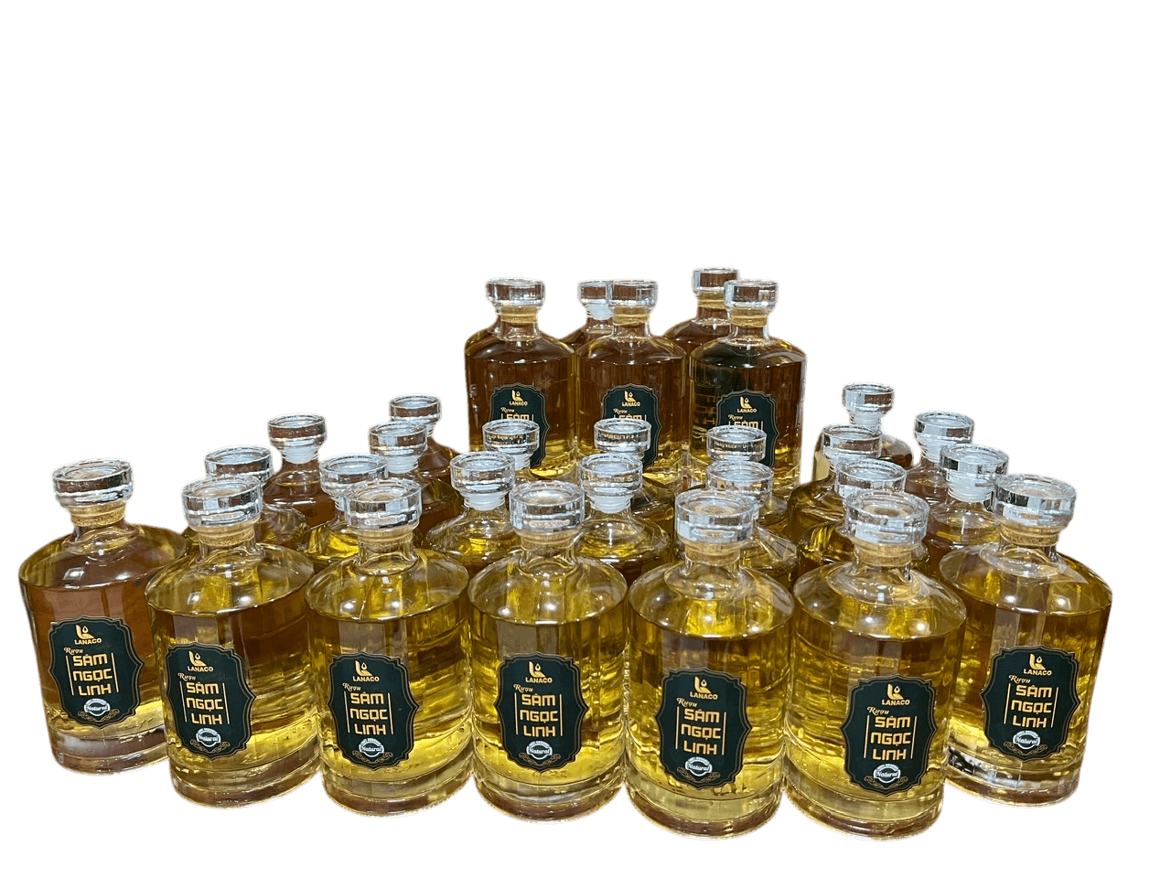 An elegant bottle of Rượu Sâm Ngọc Linh